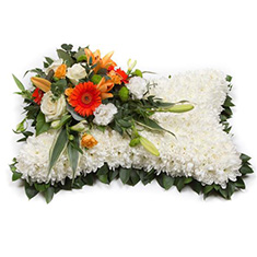  Pillow